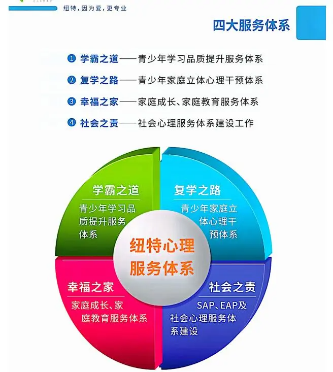 开云投注-特色青训“场地+装备+培训”产业集群加快布局，行业基础持续夯实的简单介绍