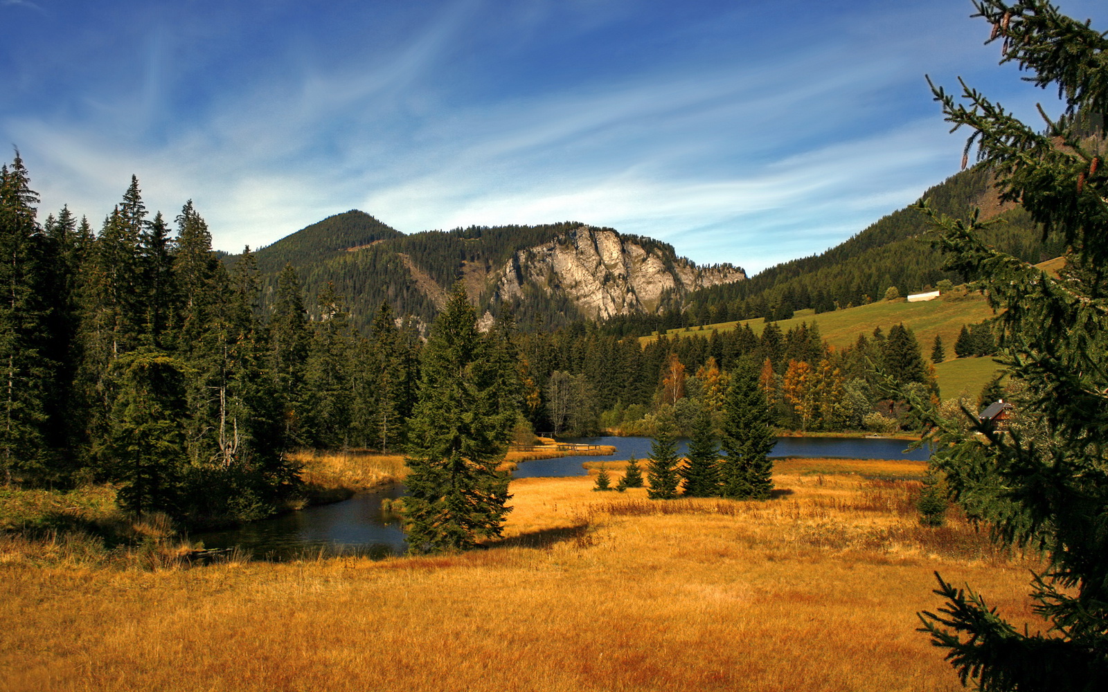 kaiyun-自由泳滑行技术优化显著提升速度,自由泳滑手动作