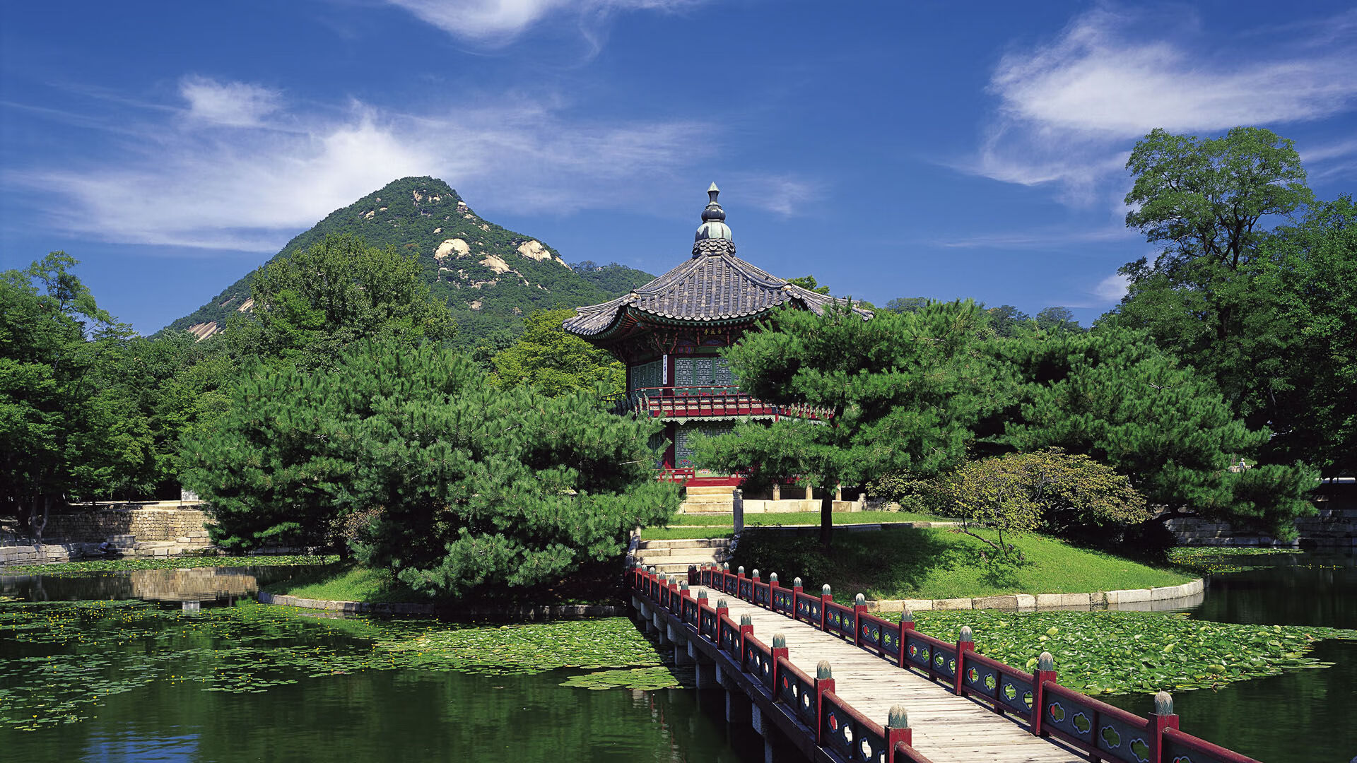 -青少年足球智慧训练系统在全球范围内推广，提高训练效率，青少年足球训练课程