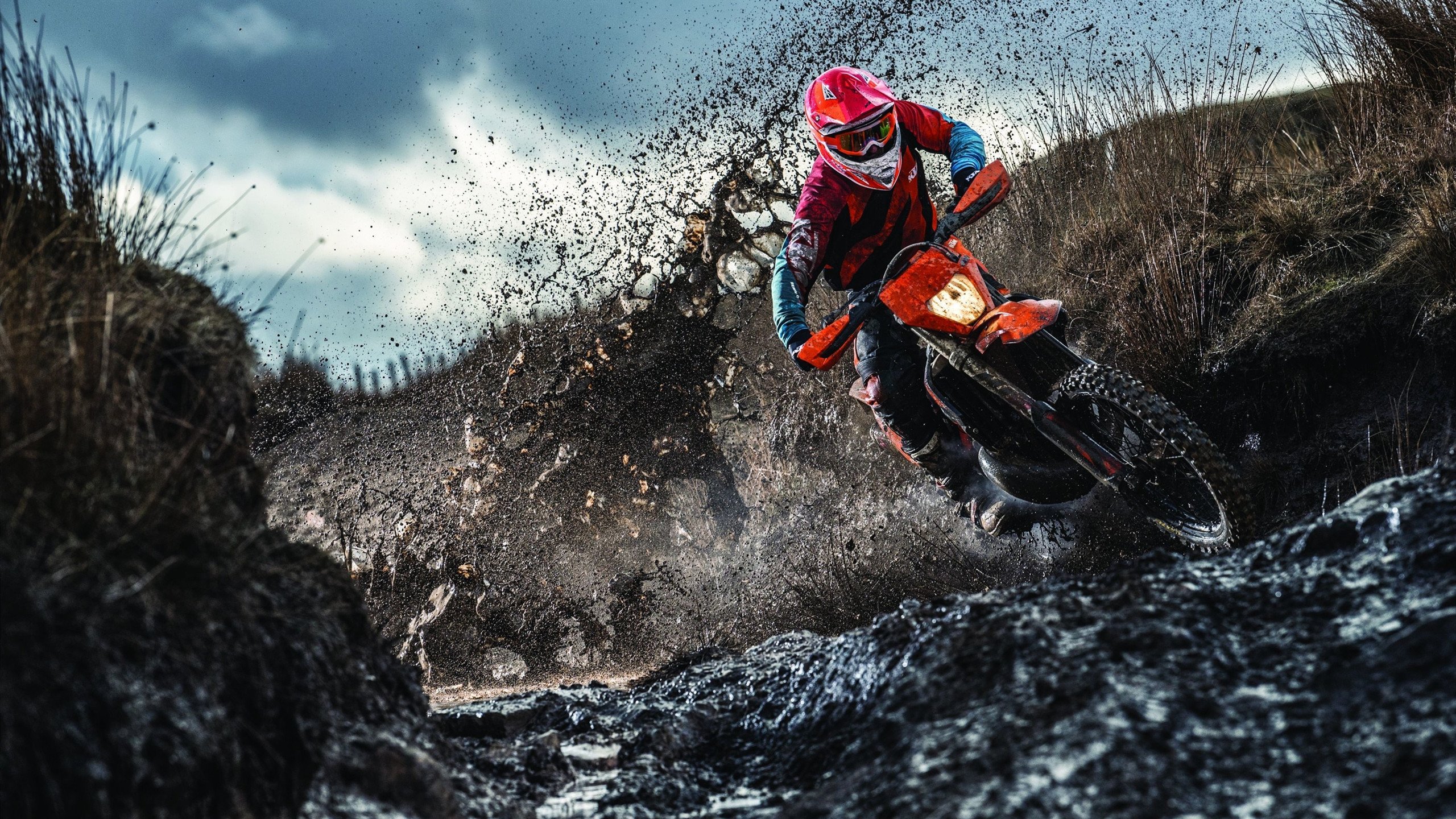 训练幕后：明星球员的日常训练揭秘，nba明星训练视频