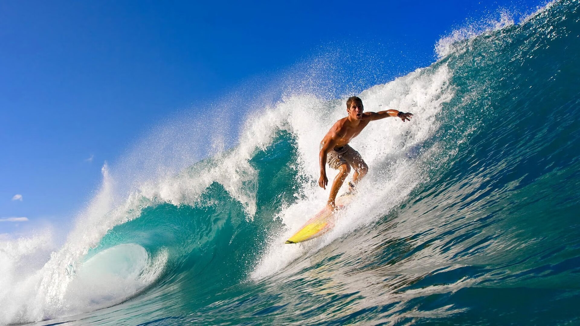 那些年我们追过的赛事：感动与激情的交织，感动的比赛